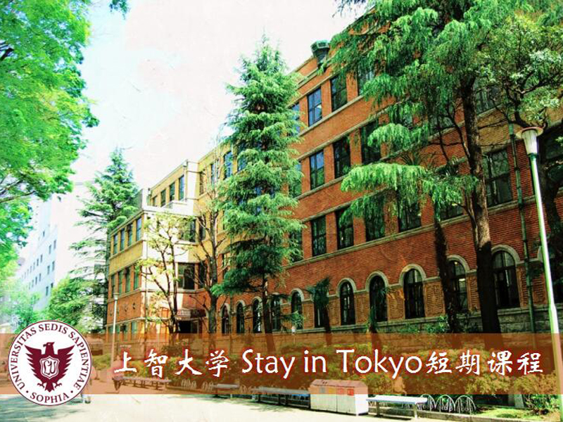上智大学 STAY IN TOKYO